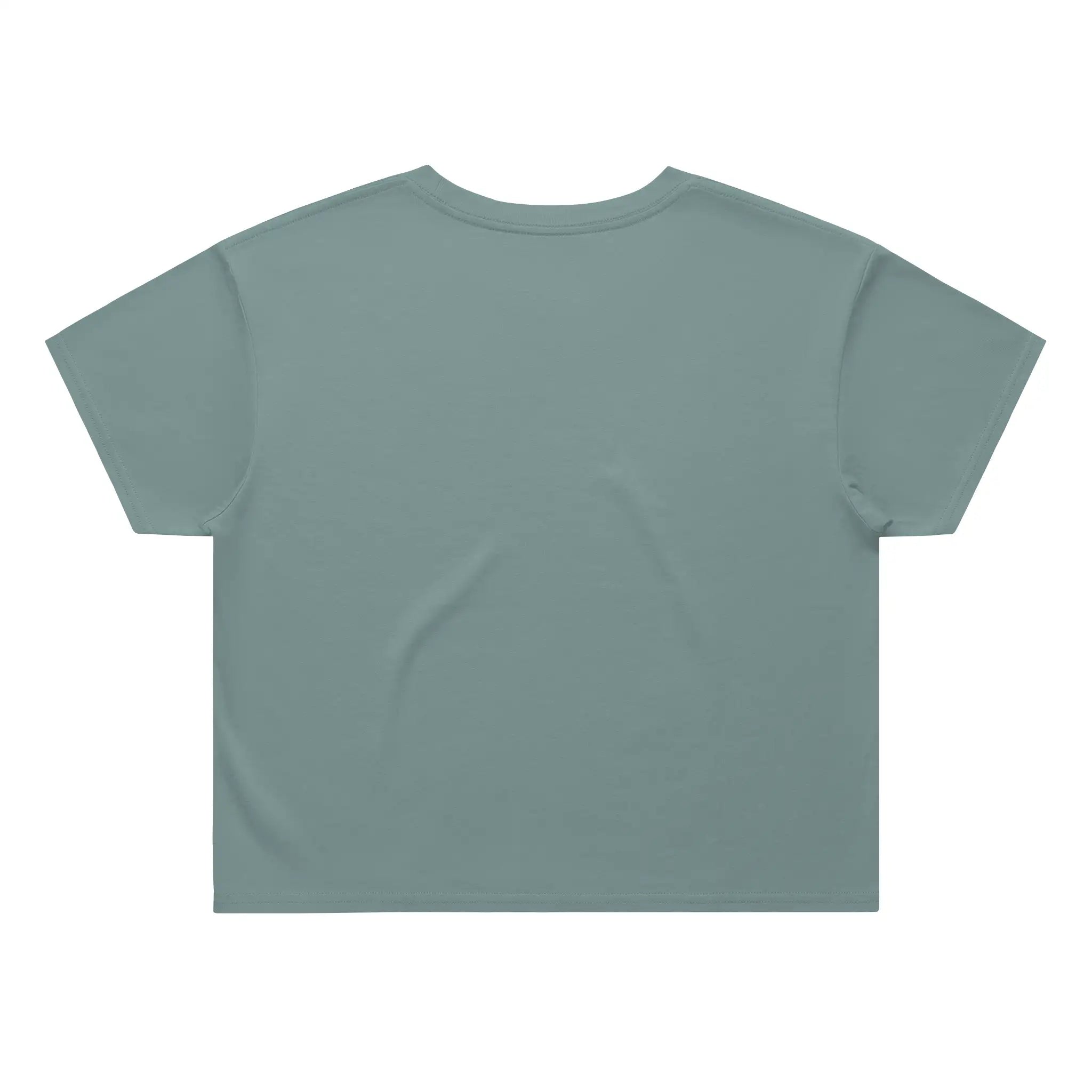 Plain light blue t-shirt on a white background